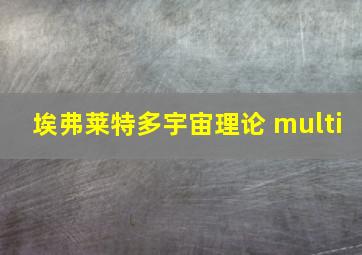 埃弗莱特多宇宙理论 multi